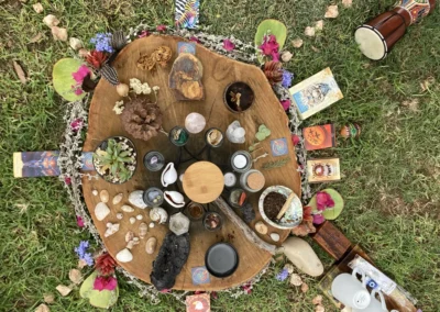 Discover true integration and embodiment of sacred plant medicine experiences like Iboga, Ayahuasca, San Pedro, Rapéh, Cannabis, Cacao and Psilocybin Mushrooms.