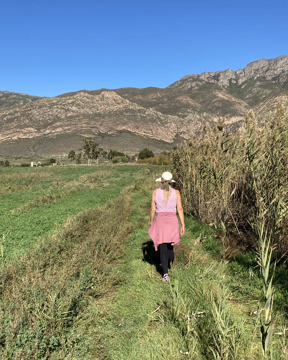 Farm Walks - Walk anytime—connect with the land and yourself.