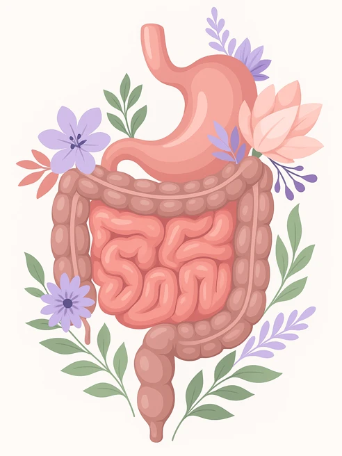 Artistic illustration of the human stomach and intestines decorated with flowers and leaves, symbolizing gut health, enema cleansing, and holistic detox.